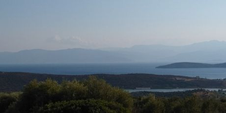 Αγροτεμάχια 4.780τ.μ. για πώληση-Ασίνη » Νέα μαραθιά