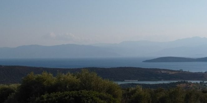 Αγροτεμάχια 4.780 τ.μ. για πώληση, Αργολίδα, Ασίνη