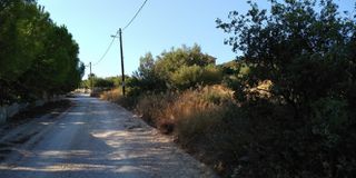 Αγροτεμάχια 4.780 τ.μ. πρός πώληση, Αργολίδα, Ασίνη-thumb-15