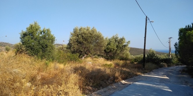 Αγροτεμάχια 4.780 τ.μ. πρός πώληση, Αργολίδα, Ασίνη