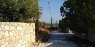 Αγροτεμάχια 4.780 τ.μ. πρός πώληση, Αργολίδα, Ασίνη-thumb-20