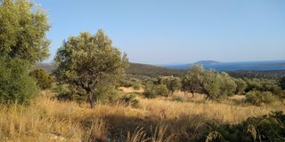 Αγροτεμάχια 4.780 τ.μ. πρός πώληση, Αργολίδα, Ασίνη-thumb-5