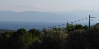 Αγροτεμάχια 4.780 τ.μ. πρός πώληση, Αργολίδα, Ασίνη-thumb-12