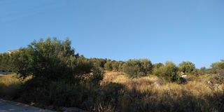 Αγροτεμάχια 4.780 τ.μ. πρός πώληση, Αργολίδα, Ασίνη-thumb-17