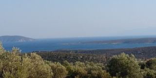 Αγροτεμάχια 4.780 τ.μ. πρός πώληση, Αργολίδα, Ασίνη-thumb-11