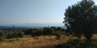 Αγροτεμάχια 4.780 τ.μ. πρός πώληση, Αργολίδα, Ασίνη-thumb-9