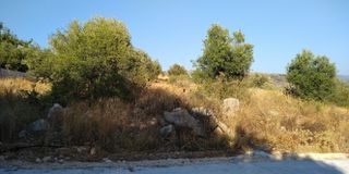 Αγροτεμάχια 4.780 τ.μ. πρός πώληση, Αργολίδα, Ασίνη-thumb-2