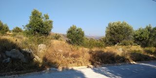 Αγροτεμάχια 4.780 τ.μ. πρός πώληση, Αργολίδα, Ασίνη-thumb-3
