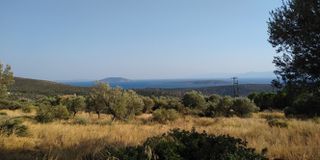 Αγροτεμάχια 4.780 τ.μ. πρός πώληση, Αργολίδα, Ασίνη-thumb-6