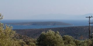 Αγροτεμάχια 4.780 τ.μ. πρός πώληση, Αργολίδα, Ασίνη-thumb-13