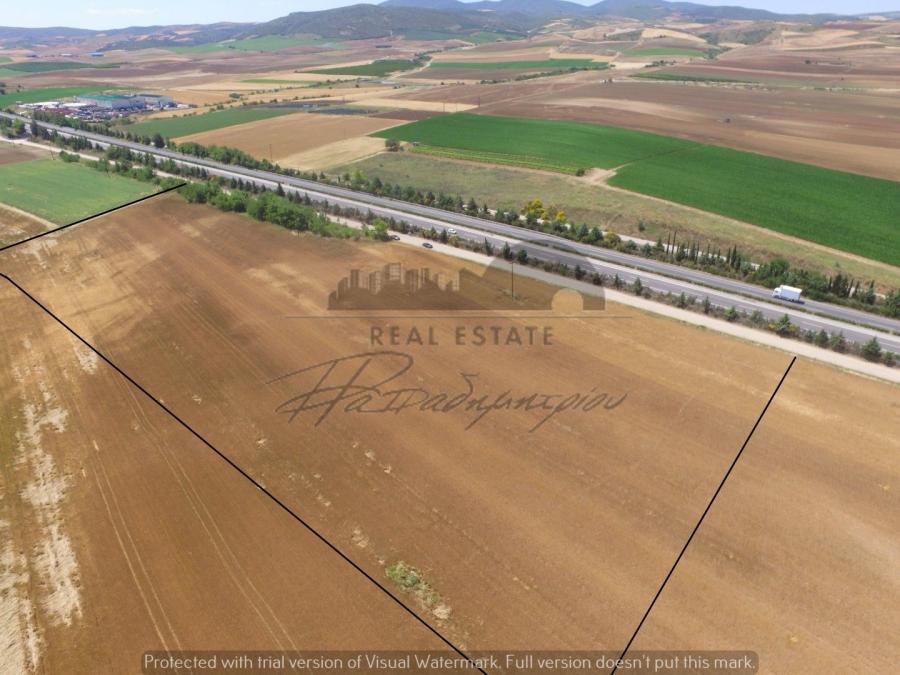 Αγροτεμάχια 16.680 τ.μ. πρός πώληση, Μαγνησία, Φερών
