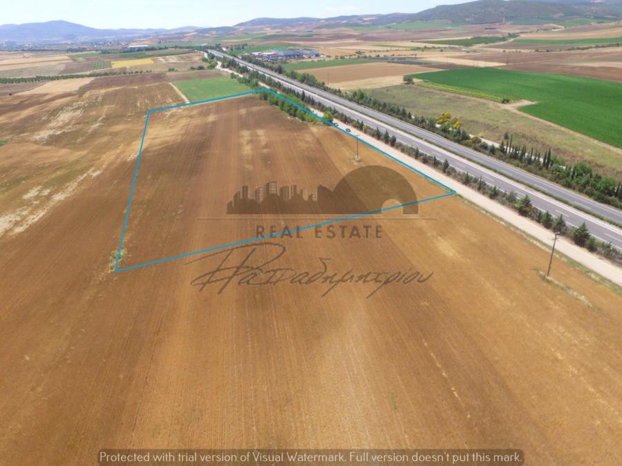 Αγροτεμάχια 16.680 τ.μ. πρός πώληση, Μαγνησία, Φερών