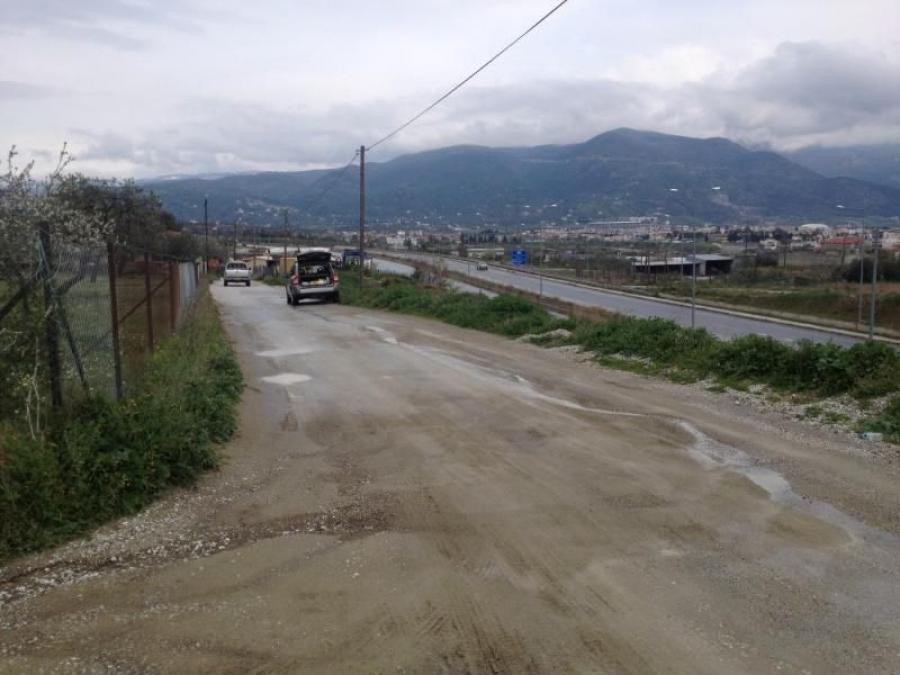Αγροτεμάχια 3.254 τ.μ. πρός πώληση, Μαγνησία, Νέα Ιωνία Βόλου