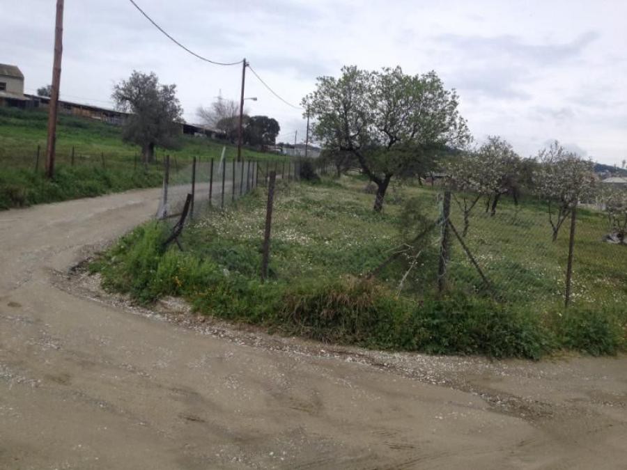 Αγροτεμάχια 3.254 τ.μ. πρός πώληση, Μαγνησία, Νέα Ιωνία Βόλου