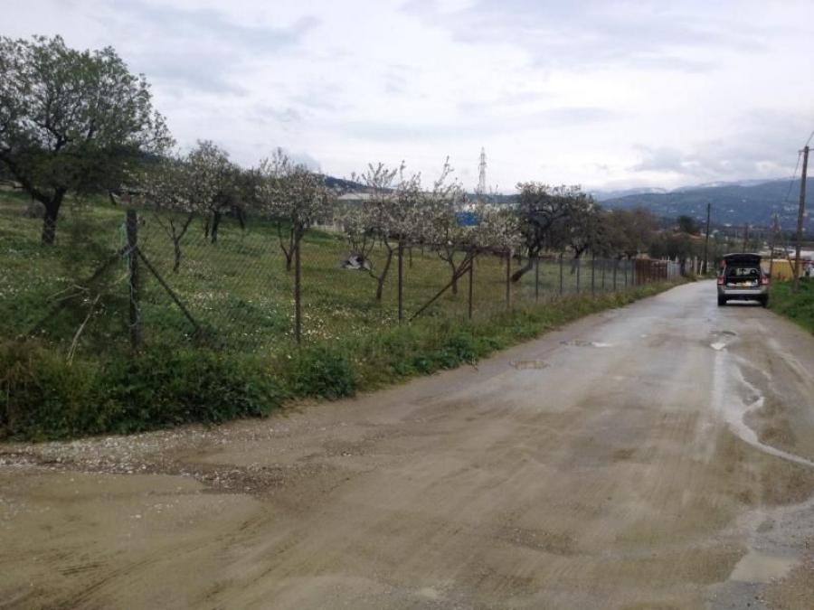 Αγροτεμάχια 3.254 τ.μ. πρός πώληση, Μαγνησία, Νέα Ιωνία Βόλου