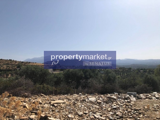 Οικόπεδο 3.129 τ.μ. πρός πώληση, Ν. Ρεθύμνου, Γεροπόταμος