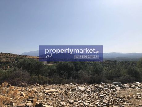 Land plot 3.129sqm for sale-Geropotamos » Skepasti