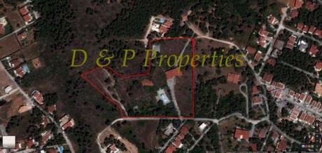 Οικόπεδο 21.000τ.μ. για πώληση-Άγιος στέφανος » Καπιτένια