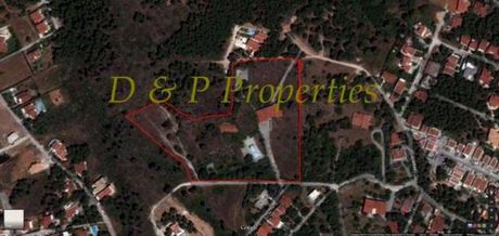 Land plot 21.000sqm for sale-Agios Stefanos » Kapitenia