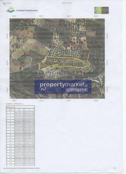 Parcel 8.500sqm for sale-Geropotamos » Perama