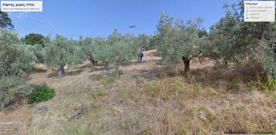 Αγροτεμάχια 4.507 τ.μ. πρός πώληση, Μαγνησία, Μηλιές
