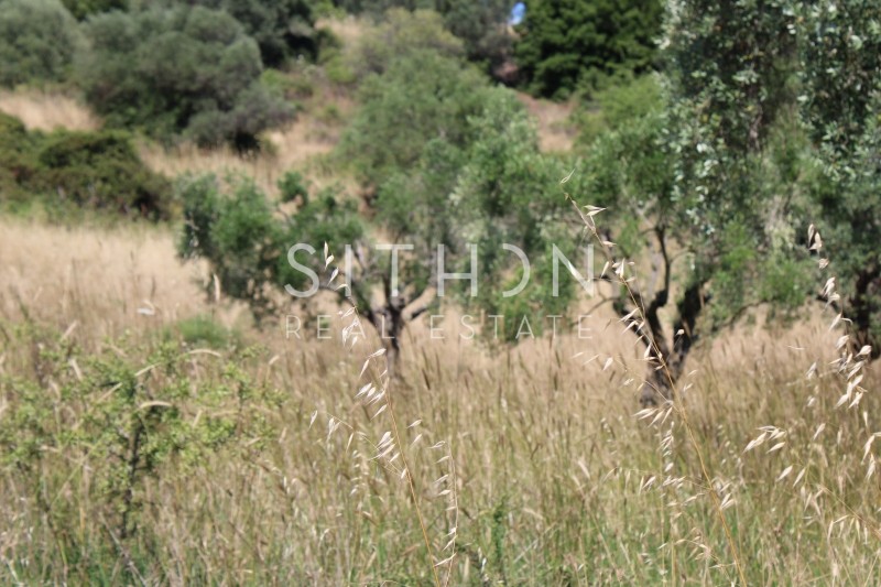 Αγροτεμάχια 209 τ.μ. προς πώληση, Κουφός Τορώνης