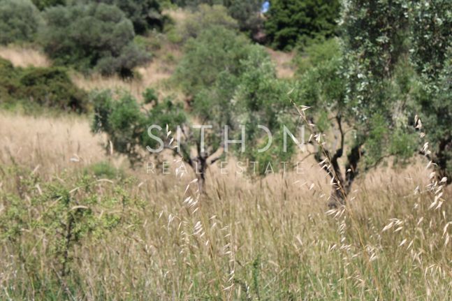 Parcel 209 sqm for sale, Chalkidiki, Toroni