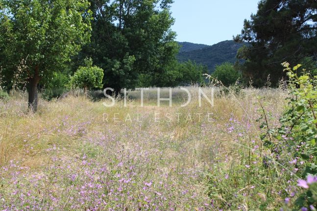 Αγροτεμάχια 896 τ.μ. για πώληση, Χαλκιδική, Τορώνη