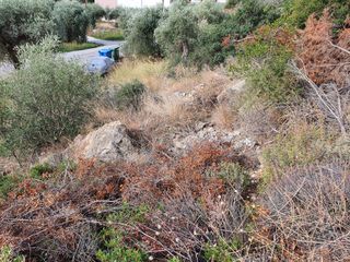 Οικόπεδο 252 τ.μ. για πώληση, Ν. Καβάλας, Θάσος-thumb-2