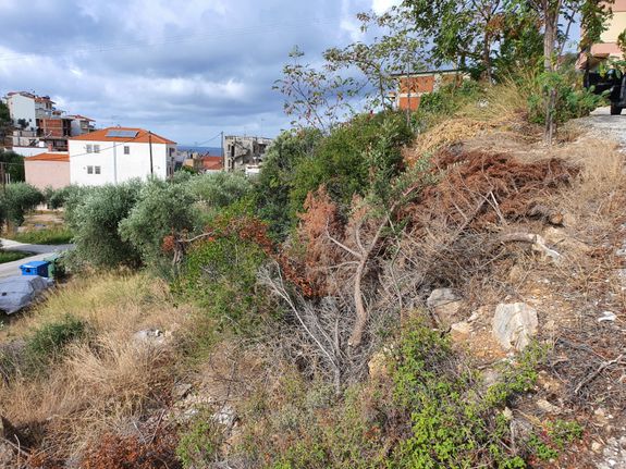 Land plot 252 sqm for sale, Kavala Prefecture, Thasos