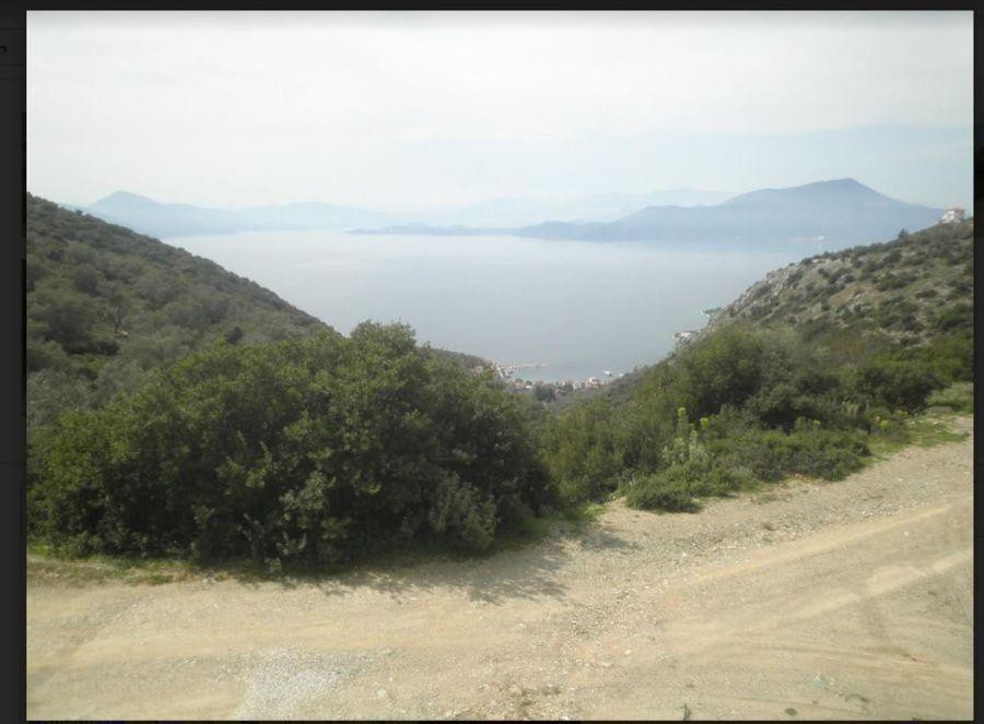 Αγροτεμάχια 6.400 τ.μ. πρός πώληση, Μαγνησία, Τρικέρι