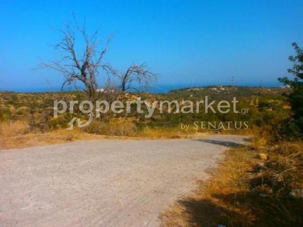 Οικόπεδο 2.700 τ.μ. πρός πώληση, Ν. Ρεθύμνου, Ρέθυμνο