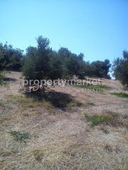Οικόπεδο 2.700 τ.μ. για πώληση, Ν. Ρεθύμνου, Ρέθυμνο-thumb-4