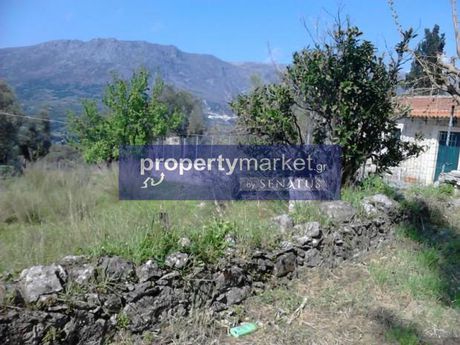 Μονοκατοικία 40τ.μ. για πώληση-Σίβριτος » Οψιγιάς