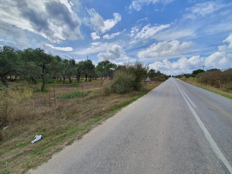 Αγροτεμάχια 4.800 τ.μ. προς πώληση, Σκάλα Σωτήρος