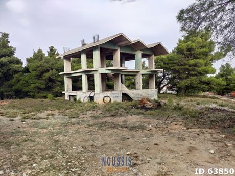 Detached home 330sqm for sale-Afidnes » Drosopigi