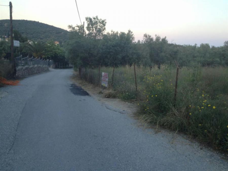 Οικόπεδο 1.370 τ.μ. πρός πώληση, Μαγνησία, Νέα Αγχίαλος