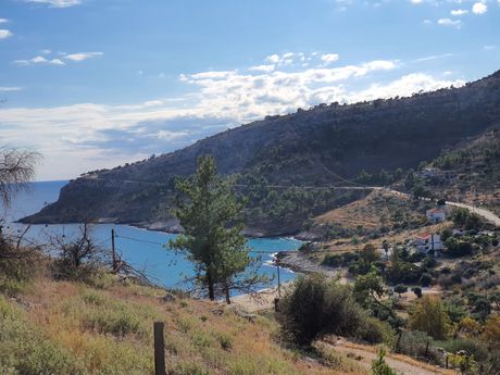 Αγροτεμάχια 6.640 τ.μ. για πώληση