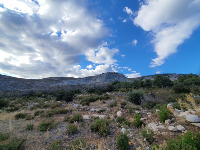 Οικόπεδο 4.086 τ.μ. για πώληση, Ν. Καβάλας, Θάσος