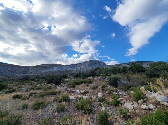 Οικόπεδο 4.086 τ.μ. για πώληση, Ν. Καβάλας, Θάσος