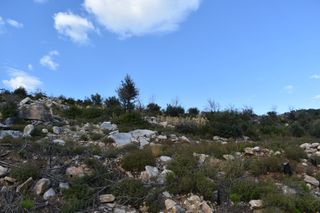 Οικόπεδο 4.086 τ.μ. για πώληση, Ν. Καβάλας, Θάσος-thumb-1