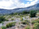 Land plot 1.169sqm for sale-Thasos » Thimonia