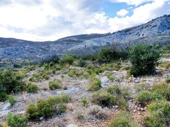 Land plot 1.169 sqm for sale, Kavala Prefecture, Thasos