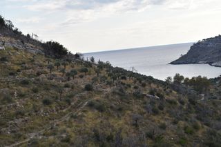 Αγροτεμάχια 8.000 τ.μ. προς πώληση, Θυμωνιά-thumb-4