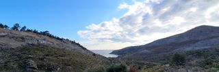 Αγροτεμάχια 8.000 τ.μ. προς πώληση, Θυμωνιά-thumb-6