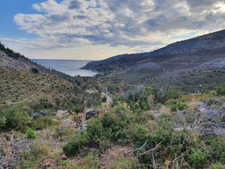 Αγροτεμάχια 8.000 τ.μ. προς πώληση, Θυμωνιά-thumb-5