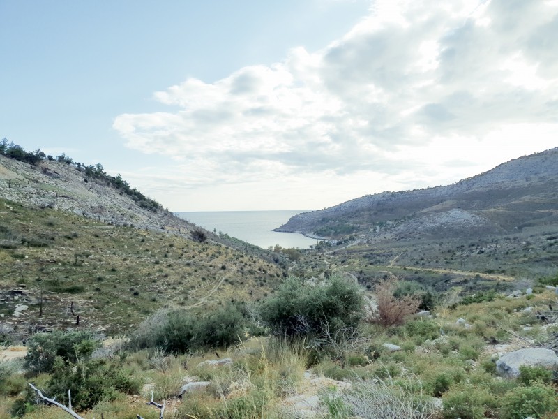 Αγροτεμάχια 8.000 τ.μ. προς πώληση, Θυμωνιά