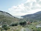 Parcel 8.000sqm for sale-Thasos » Thimonia