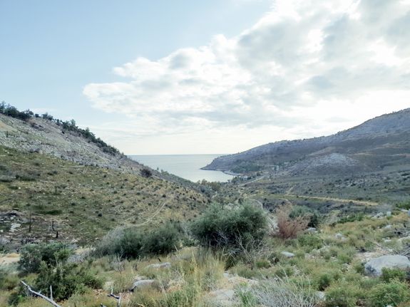 Αγροτεμάχια 8.000 τ.μ. για πώληση, Ν. Καβάλας, Θάσος