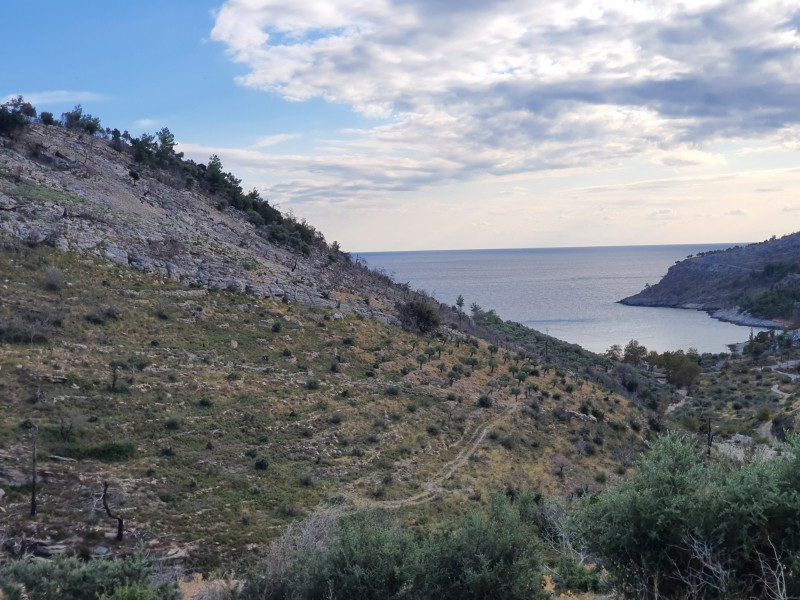 Αγροτεμάχια 8.000 τ.μ. προς πώληση, Θυμωνιά